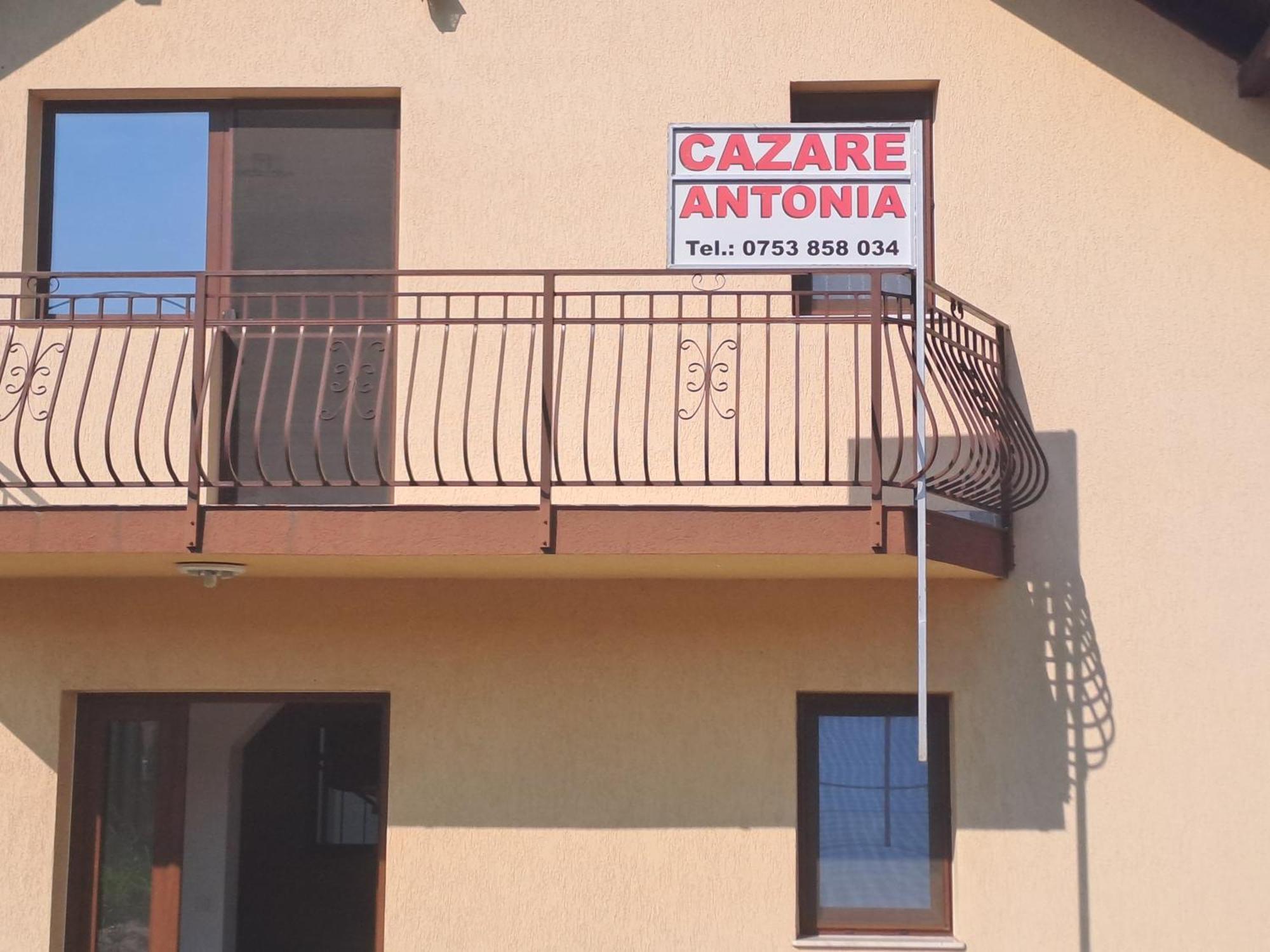 Cazare Antonia Curtea de Argeş Exterior foto